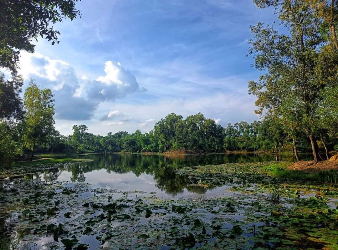 গাঢ় সবুজ পাহাড় ওশিল্পীর তুলিতে আঁকা ছবির মতো মাধবপুর হ্রদ